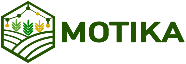 Motika