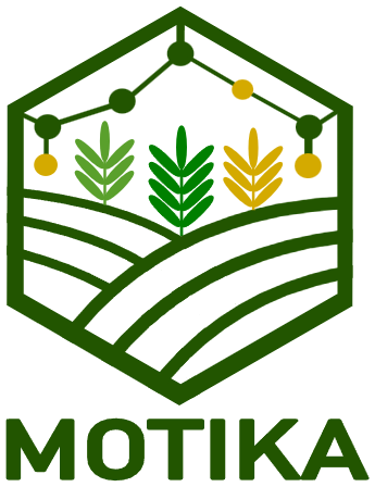 Motika